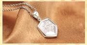 Colgante Digimon Adventure Escudo Wagreymon (Plateado)